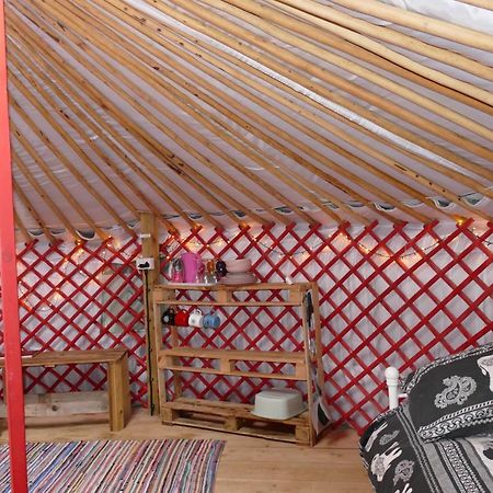 מלון הלסטון Alder Yurt Wych Elm Glamping מראה חיצוני תמונה