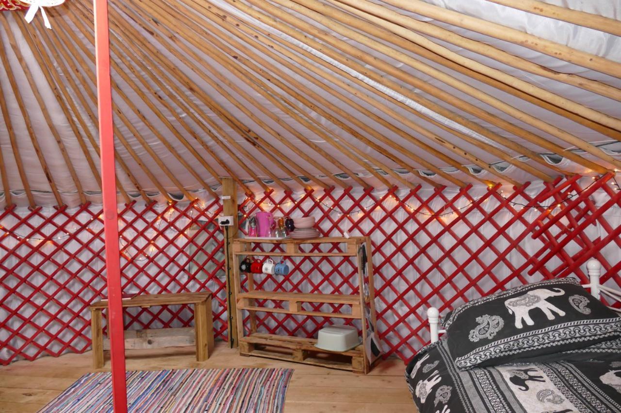 מלון הלסטון Alder Yurt Wych Elm Glamping מראה חיצוני תמונה