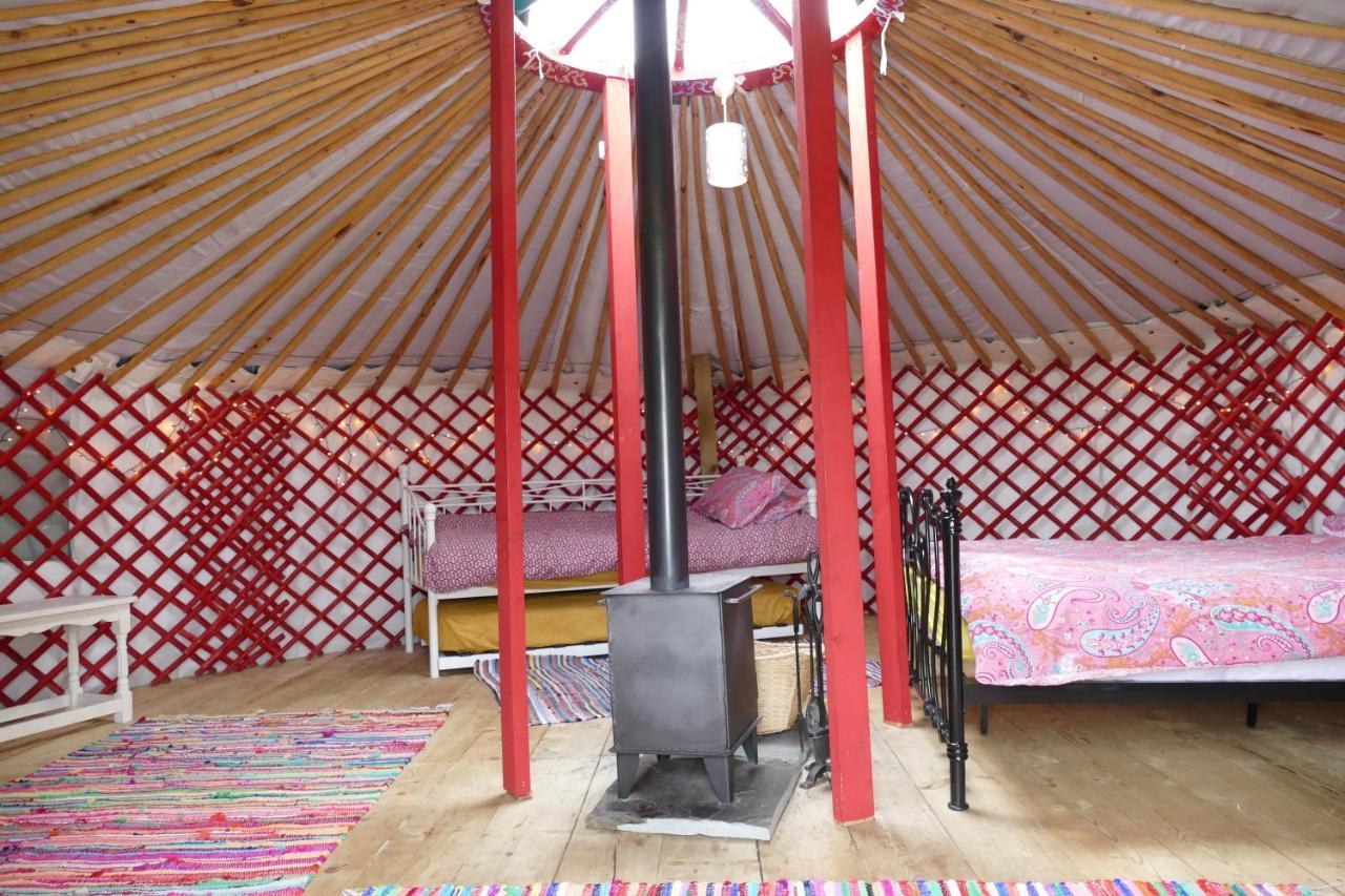 מלון הלסטון Alder Yurt Wych Elm Glamping מראה חיצוני תמונה