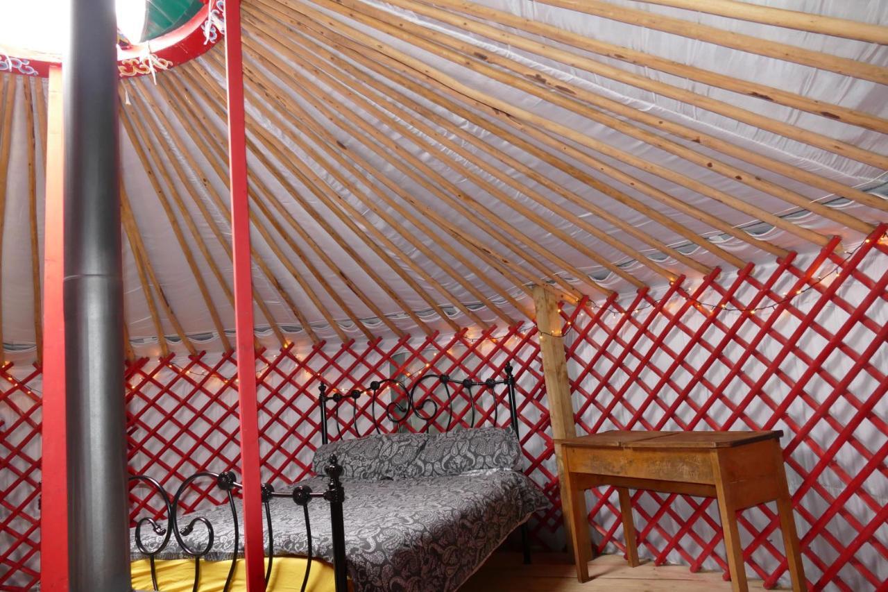 מלון הלסטון Alder Yurt Wych Elm Glamping מראה חיצוני תמונה