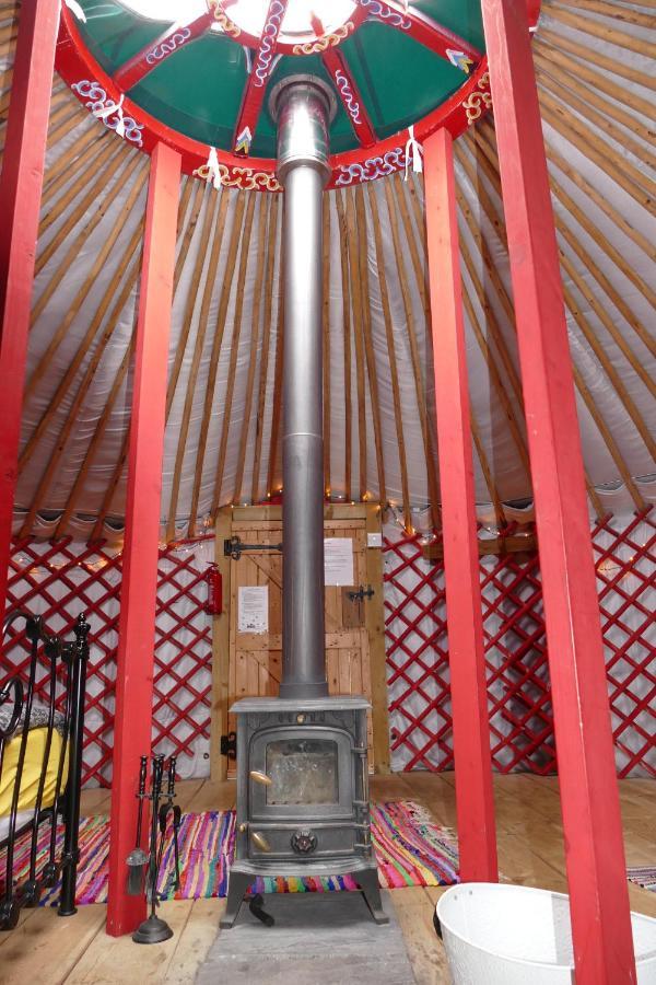 מלון הלסטון Alder Yurt Wych Elm Glamping מראה חיצוני תמונה